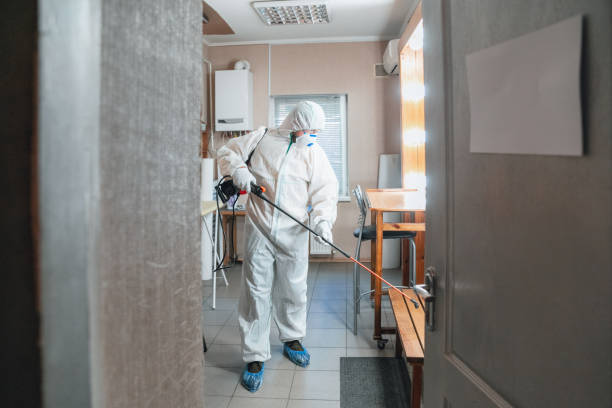 Best Mold Removal for HVAC Installations  in Pahala, HI