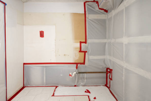 Environmental Consulting for Mold Prevention in Pahala, HI