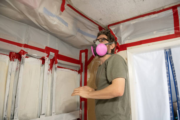  Pahala, HI Mold Removal Pros
