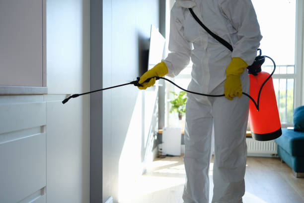 Best Mold Prevention Services  in Pahala, HI