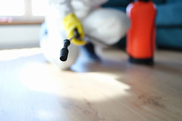 Best Emergency Mold Remediation  in Pahala, HI