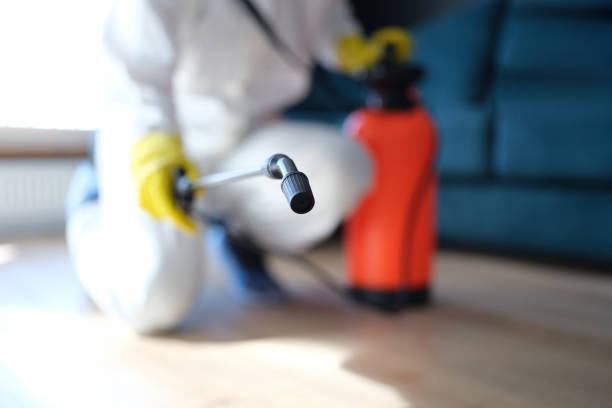 Best Crawl Space Mold Remediation  in Pahala, HI