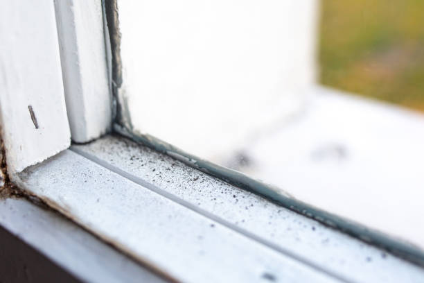 Best Air Quality Testing for Mold Spores  in Pahala, HI