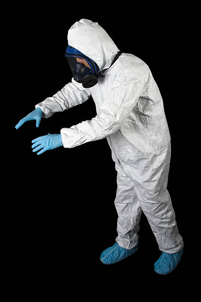 Best Asbestos and Lead Testing During Mold Inspection  in Pahala, HI